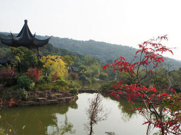 全自動(dòng)打包帶